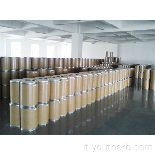 Polvere DHA altamente competitiva